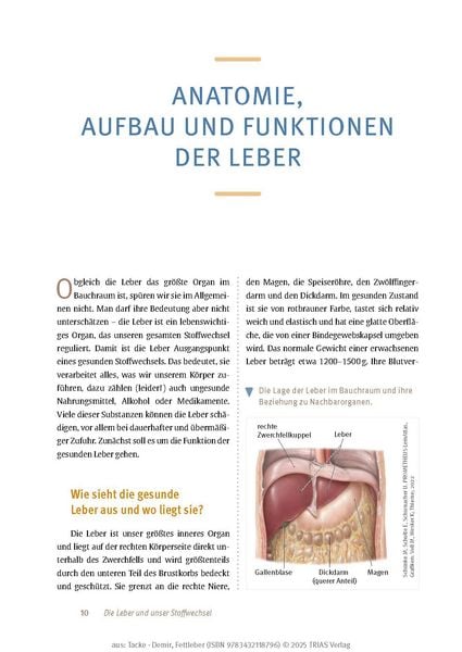 Expertenwissen: Fettleber
