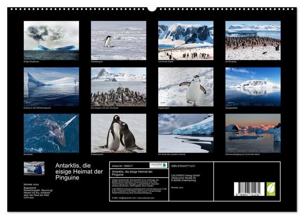 Produktbild: Antarktis, die eisige Heimat der Pinguine (hochwertiger Premium Wandkalender 2026 DIN A2 quer), Kunstdruck in Hochglanz