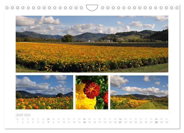 Produktbild: Die n&ouml;rdliche Ortenau (Wandkalender 2026 DIN A4 quer), CALVENDO Monatskalender