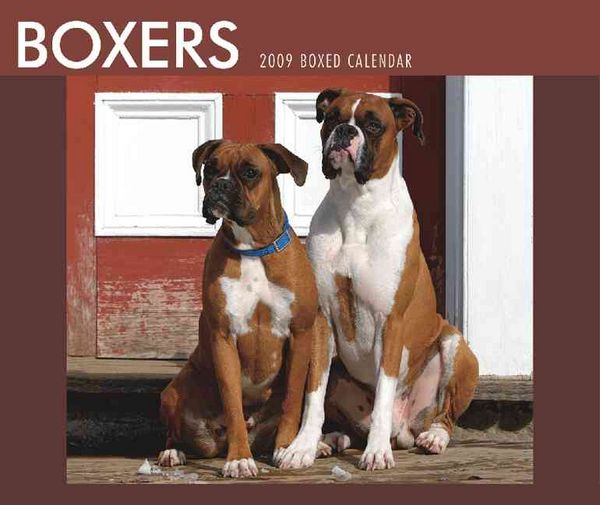 Produktbild: Boxers 2009 Calendar