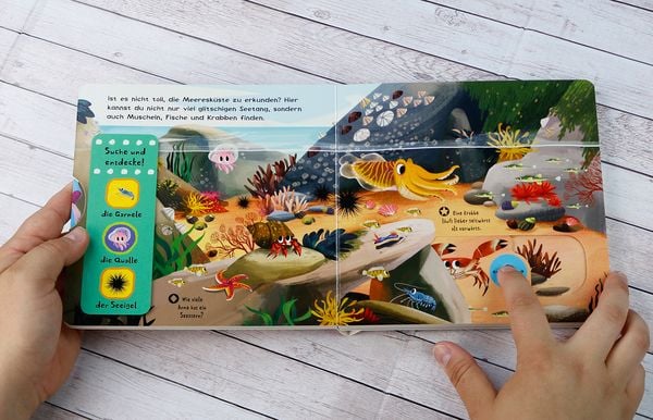 Produktbild: Guck mal, schieb mal! Suche und entdecke - Im Meer