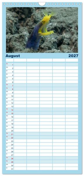 Produktbild: Familienplaner 2027 - Faszination blaue Unterwasserwelt mit 5 Spalten (Wandkalender, 21 x 45 cm) CALVENDO