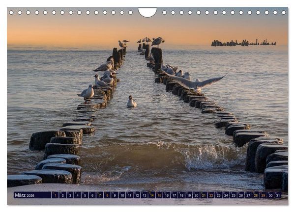 Produktbild: Ostseetr&auml;ume (Wandkalender 2026 DIN A4 quer), CALVENDO Monatskalender
