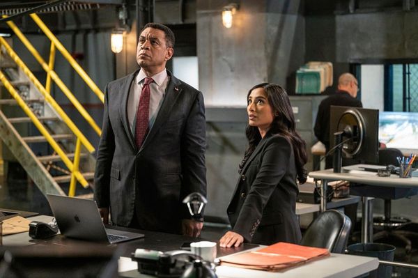 The Blacklist - Season 10 [6 DVDs]