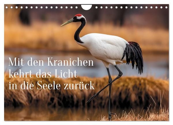 Produktbild: Mit den Kranichen kehrt das Licht in die Seele zur&uuml;ck (Wandkalender 2027 DIN A4 quer), CALVENDO Monatskalender