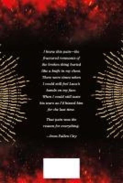 Produktbild: Fallen City