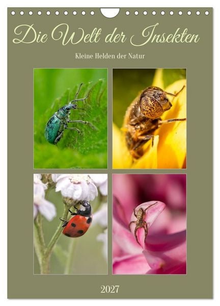 Produktbild: Die Welt der Insekten (Wandkalender 2027 DIN A4 hoch), CALVENDO Monatskalender