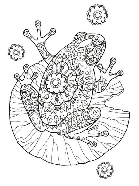 Produktbild: Mein Mandala-Tier-Malbuch &ndash; Im Paradies der Tiere