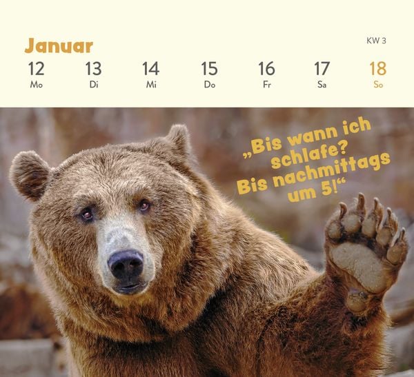 Produktbild: Mini-Wochenkalender 2026: Tierisch gechillt!