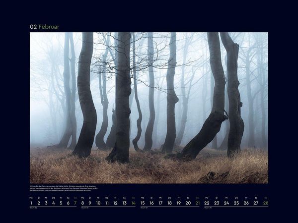 Produktbild: Magische W&auml;lder der Erde - KUNTH Wandkalender 2027