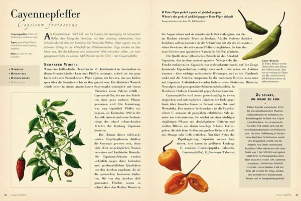 Produktbild: 50 Pflanzen