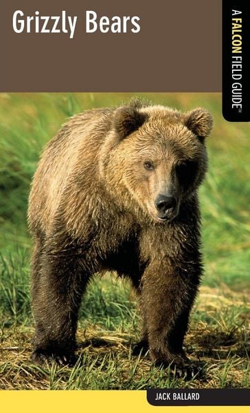Produktbild: Grizzly Bears