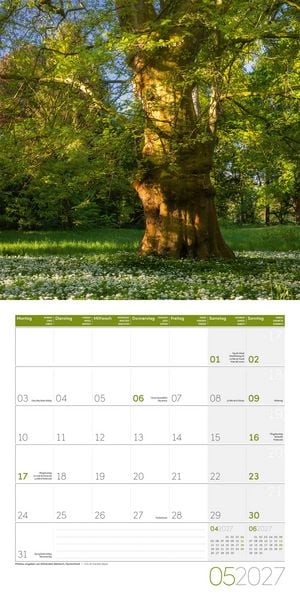 Produktbild: B&auml;ume Kalender 2027 - 30x30 - Art12