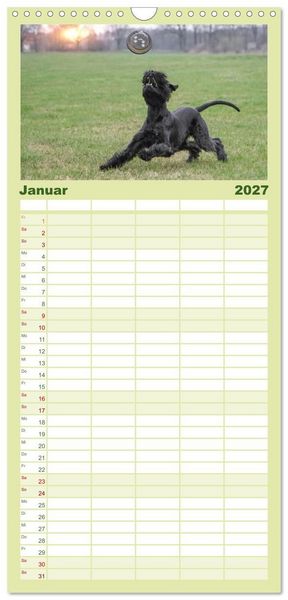 Produktbild: Familienplaner 2027 - Mit dem Riesenschnauzer durch das Jahr mit 5 Spalten (Wandkalender, 21 x 45 cm) CALVENDO