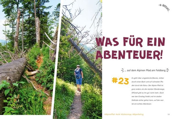 Produktbild: 52 kleine & gro&szlig;e Eskapaden im Schwarzwald