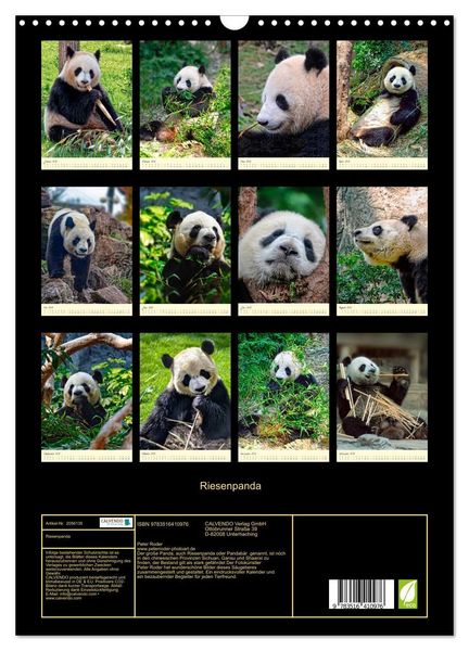 Produktbild: Riesenpanda (Wandkalender 2026 DIN A3 hoch), CALVENDO Monatskalender