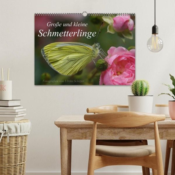 Produktbild: Gro&szlig;e und kleine Schmetterlinge (Wandkalender 2026 DIN A3 quer), CALVENDO Monatskalender