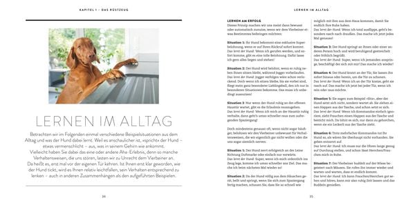 Produktbild: So einfach geht Hundeerziehung