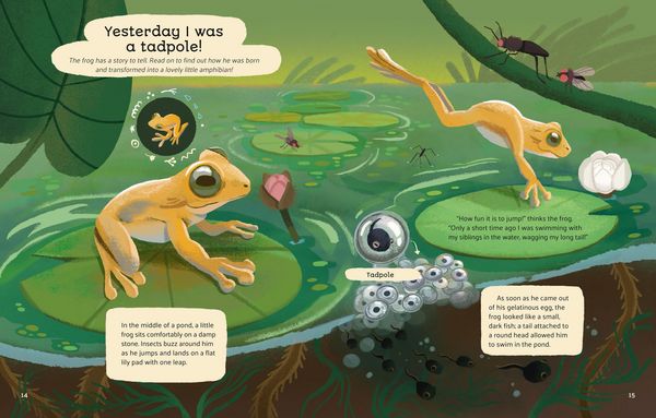 Produktbild: Little Stories from Nature