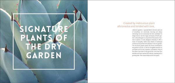 Produktbild: The Bold Dry Garden