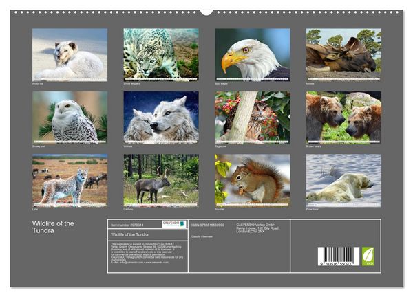 Produktbild: Wildlife of the Tundra (High Quality Premium Wall Calendar 2026 DIN A2 landscape),CALVENDO 12 Month Wall Calendar