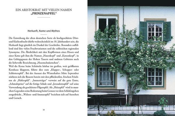 Produktbild: Das gro&szlig;e kleine Buch: Alte Obstsorten in der K&uuml;che