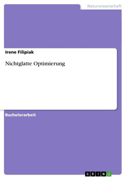 Produktbild: Nichtglatte Optimierung