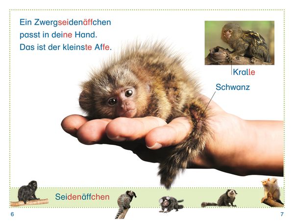 Produktbild: SUPERLESER! Zu Besuch bei den Affen