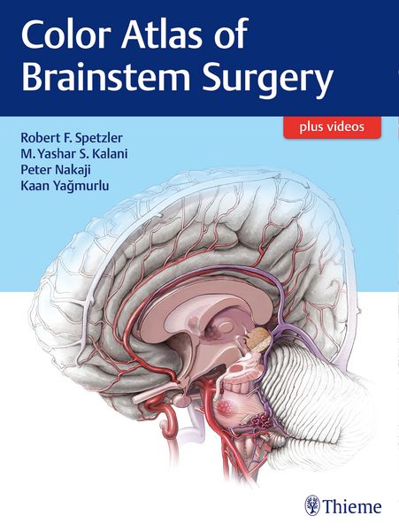 Produktbild: Color Atlas of Brainstem Surgery