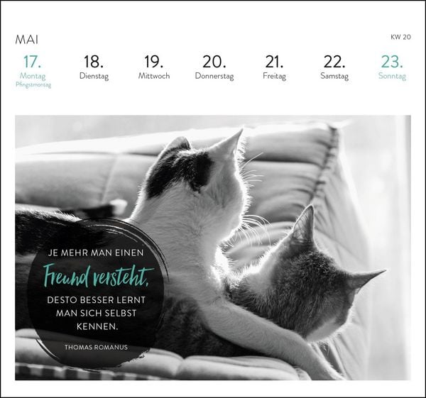 Produktbild: Postkartenkalender 2027: Inspirierende Worte f&uuml;r Katzenfreunde