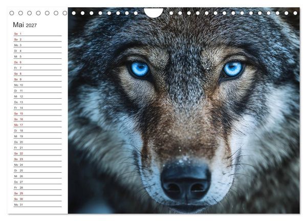 Produktbild: Die Seele der Wildnis (Wandkalender 2027 DIN A4 quer), CALVENDO Monatskalender