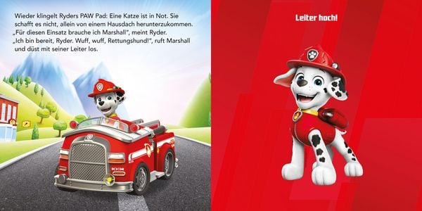 Produktbild: PAW Patrol: Ryder und die Fellfreunde