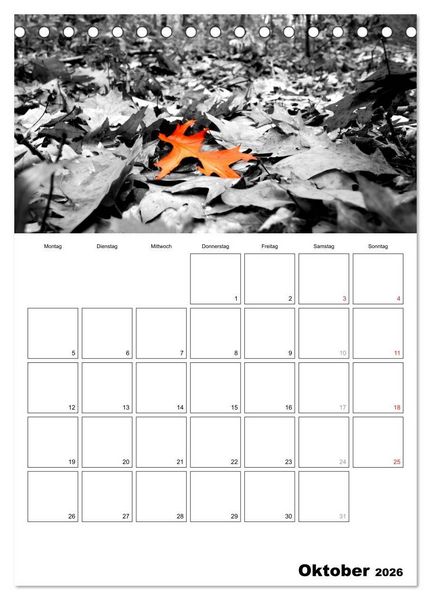 Produktbild: schwarz/wei&szlig; trifft farbe - DEIN TERMINKALENDER / Planer (Tischkalender 2026 DIN A5 hoch), CALVENDO Monatskalender