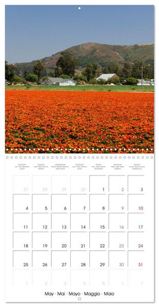 Produktbild: Dreaming California (Wall Calendar 2026 12 &times; 12 Inch) CALVENDO 12 Month Wall Calendar
