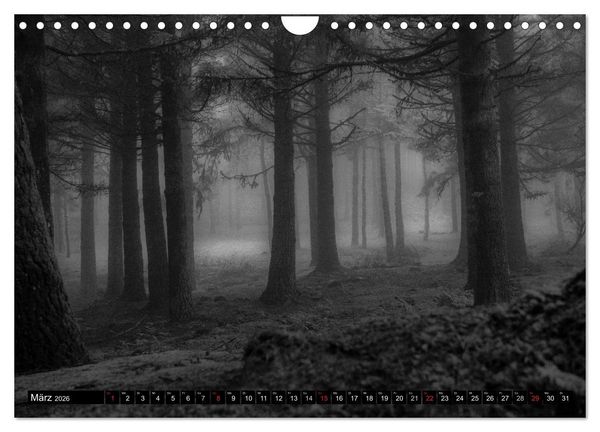 Produktbild: Stille Momente in Schwarz-Weiss (Wandkalender 2026 DIN A4 quer), CALVENDO Monatskalender