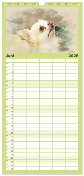 Produktbild: Familienplaner 2026 - Chihuahuas 2026 mit 5 Spalten (Wandkalender, 21 x 45 cm) CALVENDO