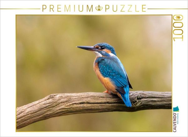 Produktbild: CALVENDO Puzzle Eisvogel im Antlitz auf seinem Ast | 1000 Teile Lege-Gr&ouml;&szlig;e 64x48cm Foto-Puzzle f&uuml;r gl&uuml;ckliche Stunden