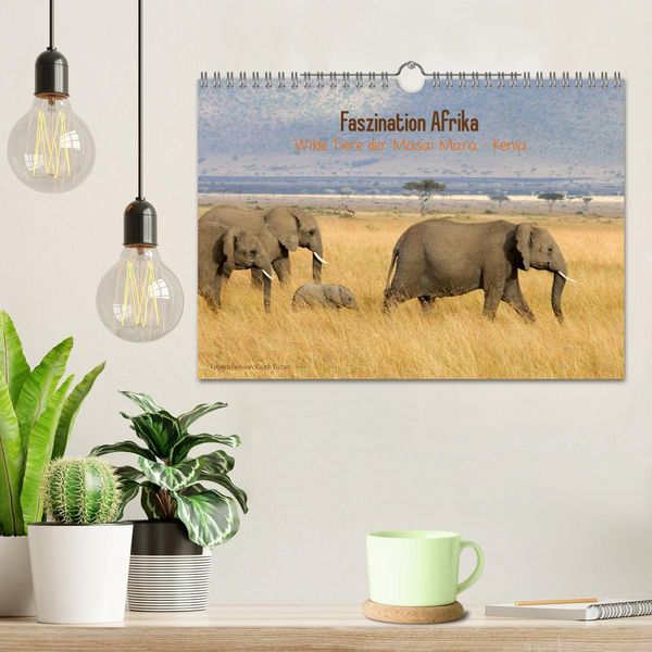Produktbild: Faszination Afrika - wilde Tiere der Masai Mara - Kenia (Wandkalender 2026 DIN A4 quer), CALVENDO Monatskalender
