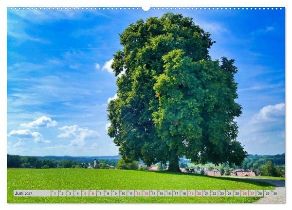 Produktbild: Die Stauden, eine Landschaft aus dem Bilderbuch (hochwertiger Premium Wandkalender 2027 DIN A2 quer), Kunstdruck in Hochglanz