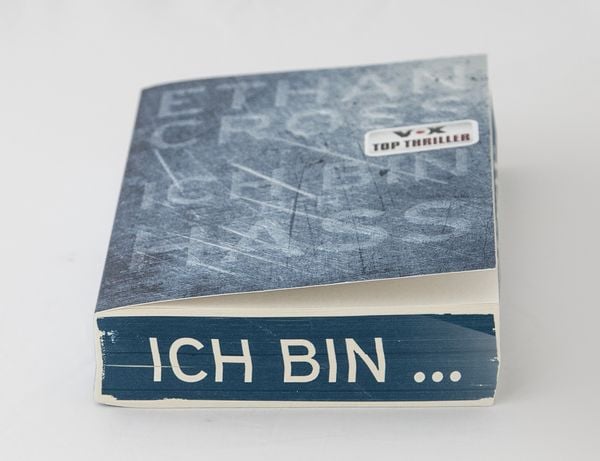 Produktbild: Ich bin der Hass / Francis Ackerman junior Band 5