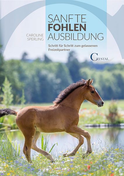 Produktbild: Sanfte Fohlenausbildung