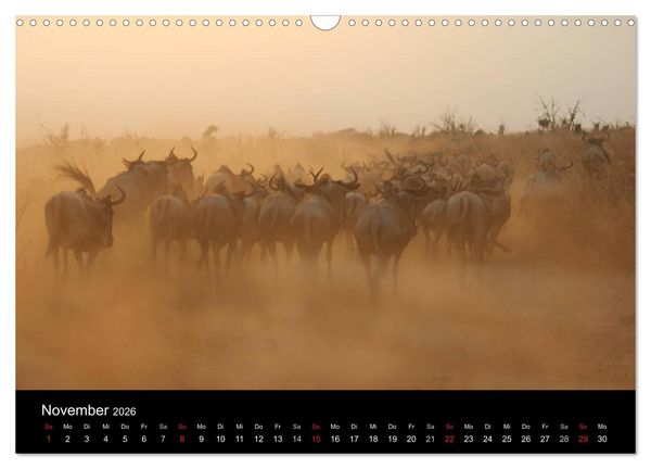 Produktbild: Tansania (Wandkalender 2026 DIN A3 quer), CALVENDO Monatskalender
