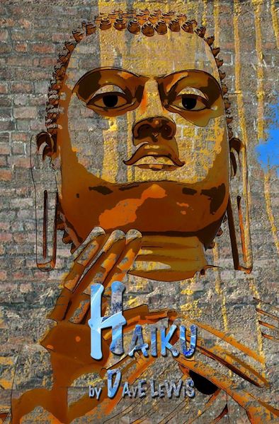 Produktbild: Haiku