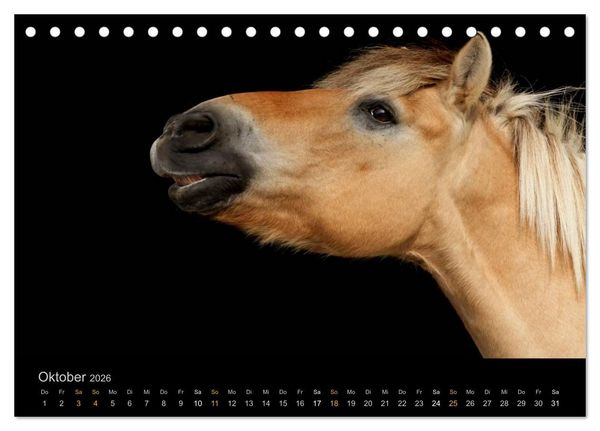 Produktbild: Magische Momente - Pferde Horses Caballos (Tischkalender 2026 DIN A5 quer), CALVENDO Monatskalender