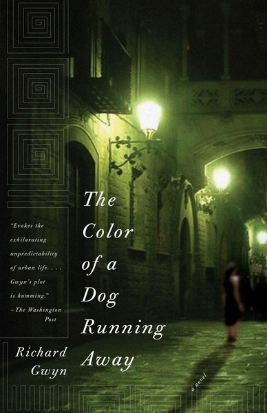 Produktbild: The Color of a Dog Running Away