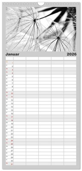 Produktbild: Familienplaner 2026 - Pusteblume - Impressionen in schwarzwei&szlig; mit 5 Spalten (Wandkalender, 21 x 45 cm) CALVENDO