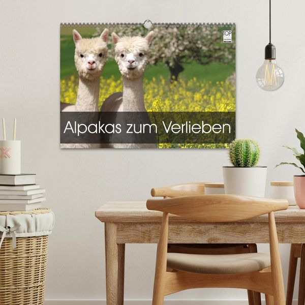 Produktbild: Alpakas zum Verlieben (Wandkalender 2026 DIN A3 quer), CALVENDO Monatskalender