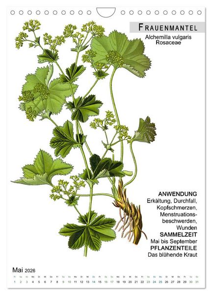 Produktbild: Heilpflanzen (Wandkalender 2026 DIN A4 hoch), CALVENDO Monatskalender