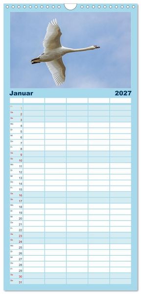 Produktbild: Familienplaner 2027 - V&ouml;gel im Flug - Akrobaten der L&uuml;fte mit 5 Spalten (Wandkalender, 21 x 45 cm) CALVENDO