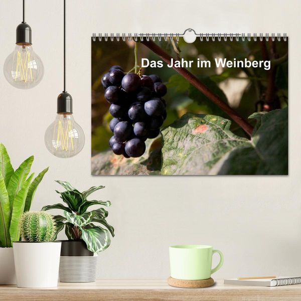 Produktbild: Das Jahr im Weinberg (Wandkalender 2026 DIN A4 quer), CALVENDO Monatskalender
